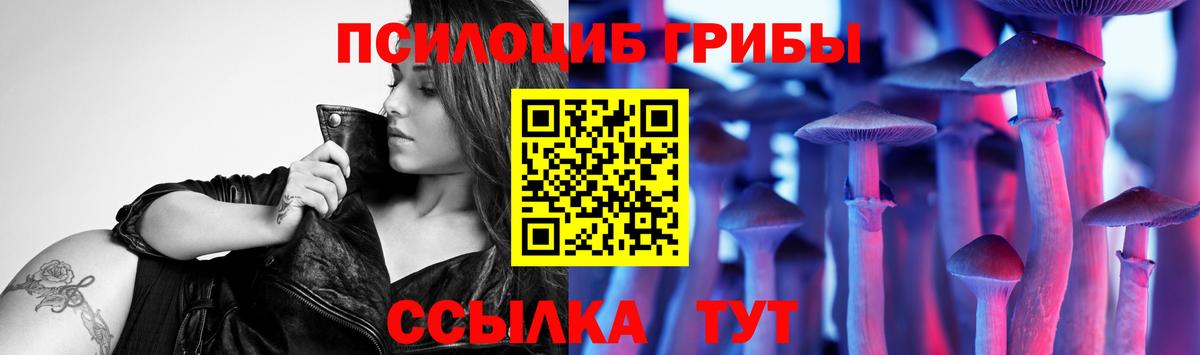 Псилоцибиновые грибы MAGIC MUSHROOMS  Псилоцибиновые грибы ЛСД  Вход с VPN  Борисоглебск 